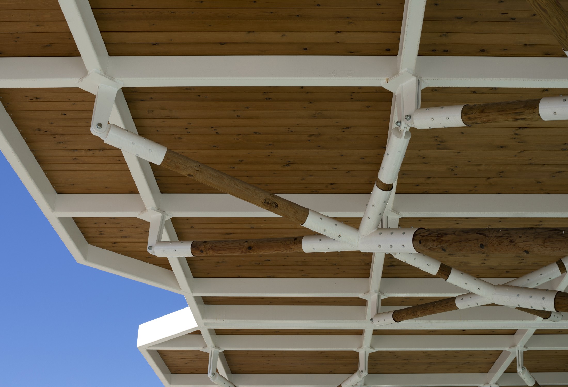 La Pea Schoolyard Canopy